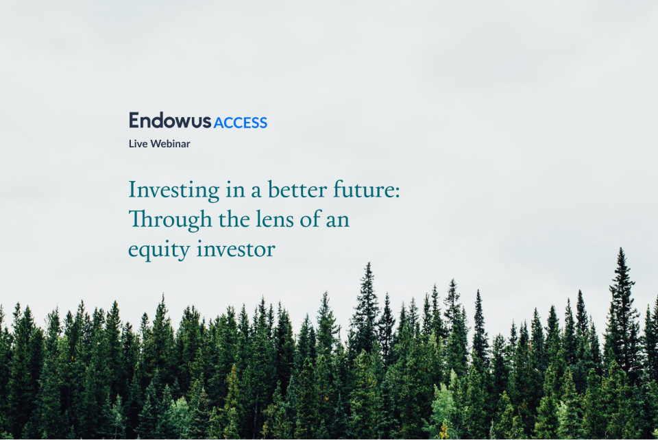 Webinar: Investing in a better future: Through the lens of an equity investor